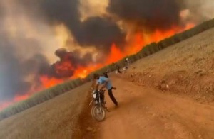 Fazendeira morre carbonizada durante incêndio em sua fazenda em Itapaci