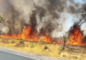 Polícia Civil prende homem por incêndio no distrito de Assunção de Goiás