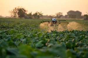 Tecnologia impulsiona produtividade e sustentabilidade nas propriedades rurais
