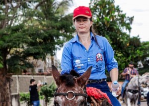 Produtora rural moderniza propriedade e se torna referência na atividade leiteira