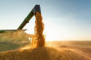 Faeg avalia que Plano Safra 2026/2027 fica abaixo das necessidades do campo