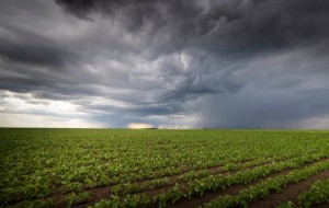 Super El Niño preocupa produtores rurais em Goiás
